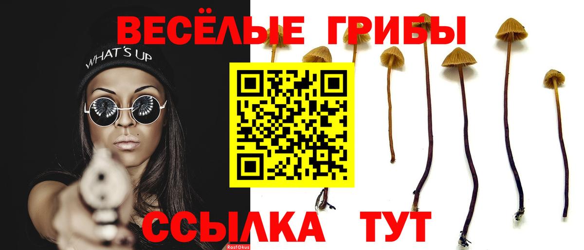 Галлюциногенные грибы Psilocybine cubensis  Вход с VPN  Канаш 